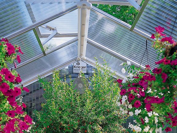 Domestic Greenhouses / Guide